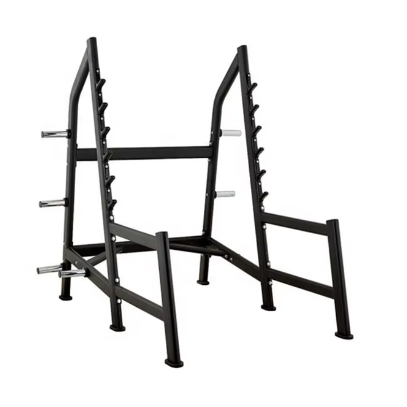Squat Rack Power Cage, Plate L - Heavy Equipment In 리뷰 및 가격