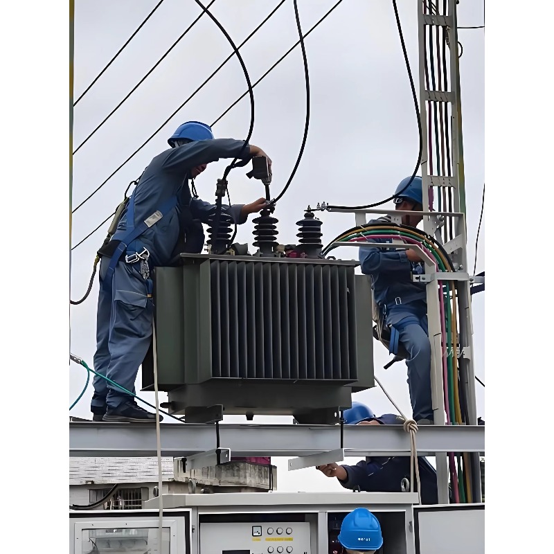 Euro Grid Liquid Immersed Tran - Heavy Equipment Supplier 리뷰 및 가격