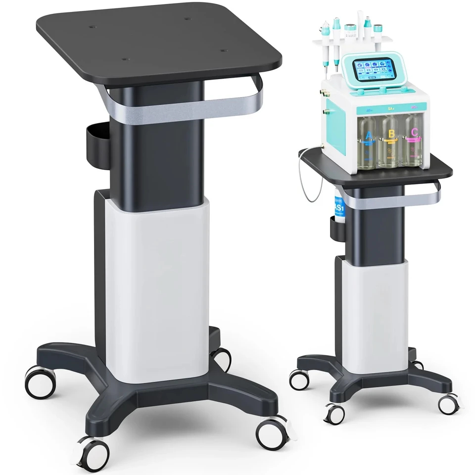Beauty Salon Rolling Cart Esth - Heavy Equipment Unit 리뷰 및 가격