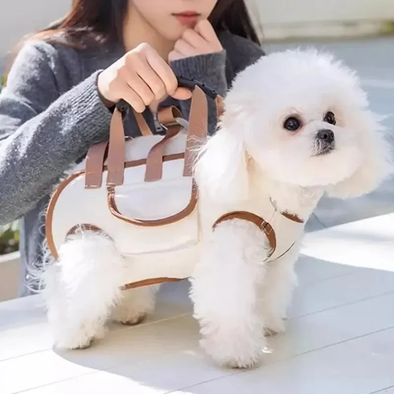 2026 Small Dog Lift Harness Ba - Heavy Equipment Cat 리뷰 및 가격