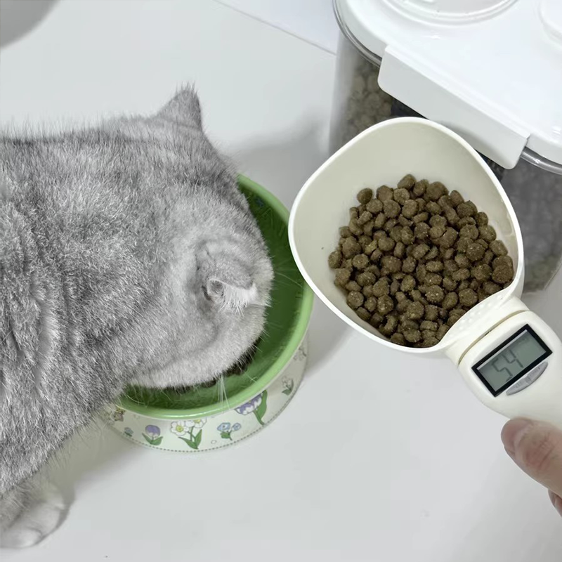 High Precision Pet Feeding Spo - Heavy Equipment Cat 리뷰 및 가격
