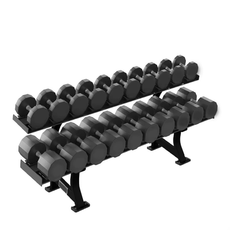2-Tier 10 Pairs Dumbbell Stora - Heavy Equipment Storage 리뷰 및 가격